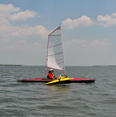 36 HP Sport Batwing Sail