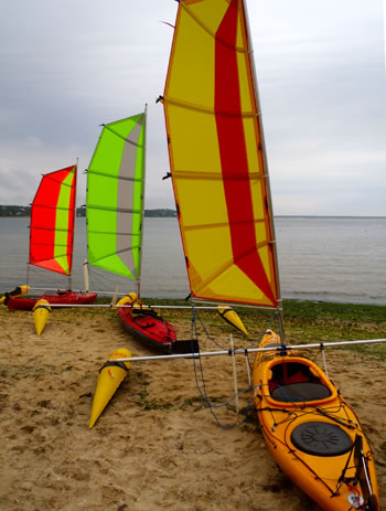 batwing sails